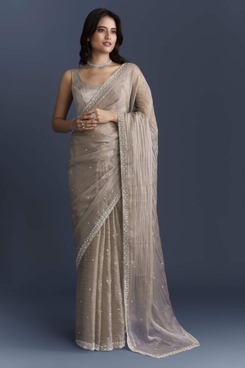 Beige Tissue Saree With Heavy Hand Embroidery