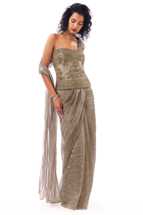 Beige Zardosi Saree